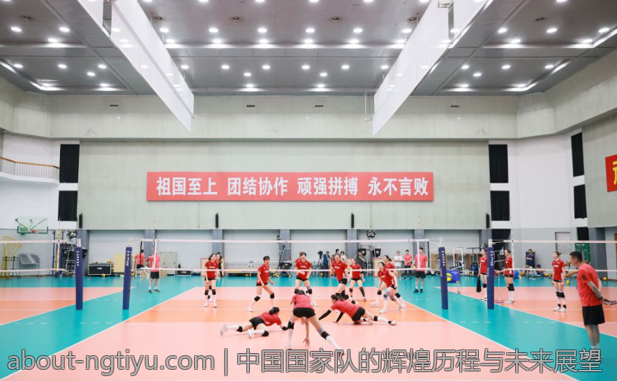 中国国家队的辉煌历程与未来展望